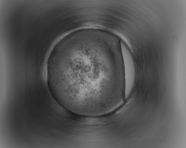 X0000093211371200710101318