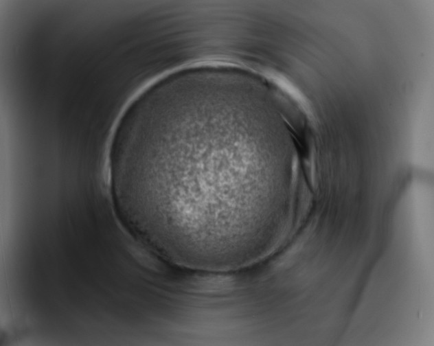 X0000093211372200710101318