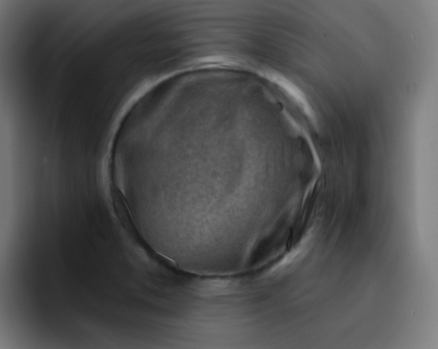 X0000093211373200710101318