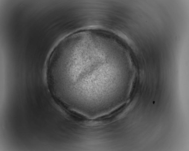 X0000093211374200710101318