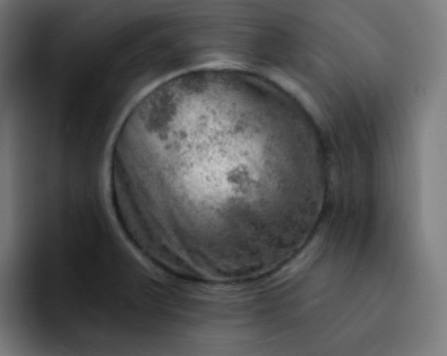 X0000093211375200710101318