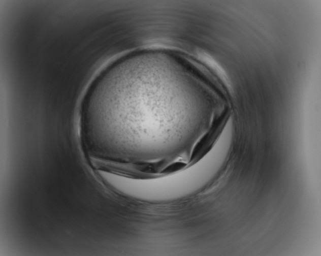 X0000093211376200710101318