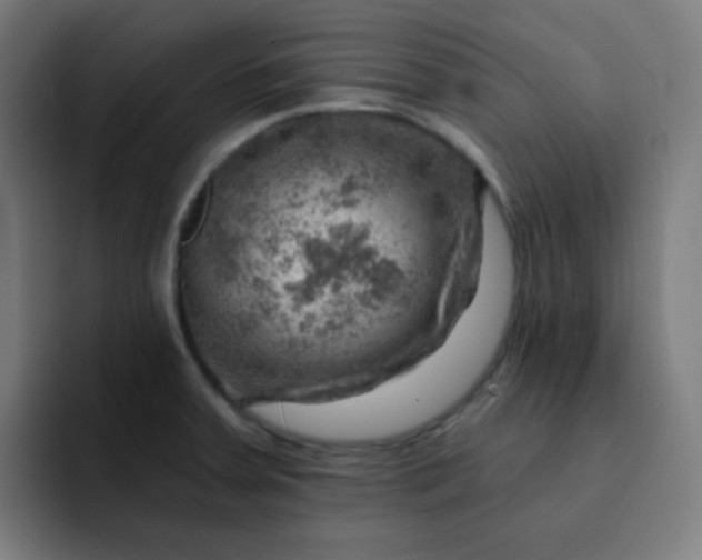 X0000093211379200710101318