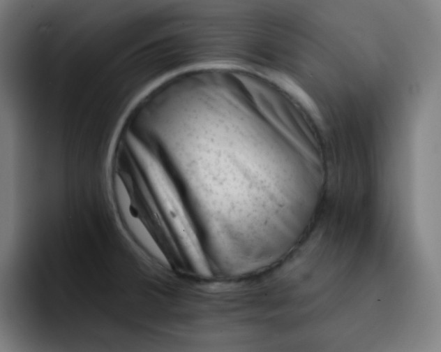 X0000093211380200710101318