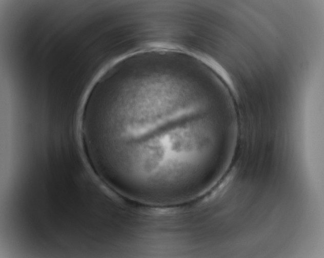 X0000093211381200710101318