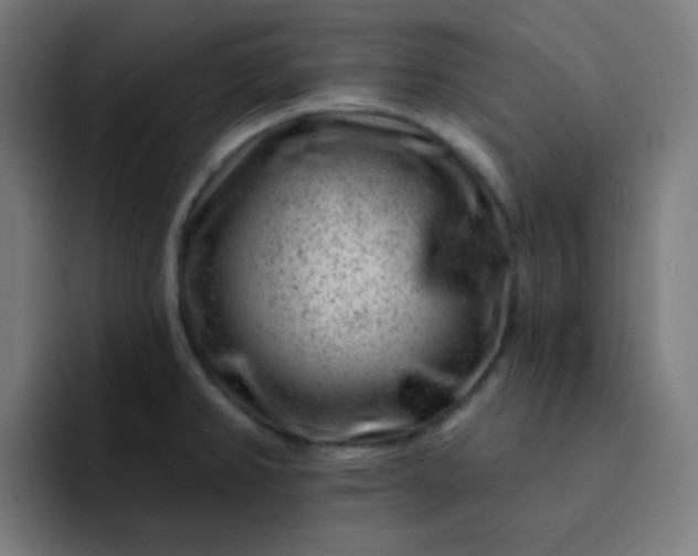 X0000093211382200710101318