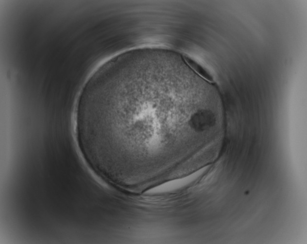 X0000093211383200710101318