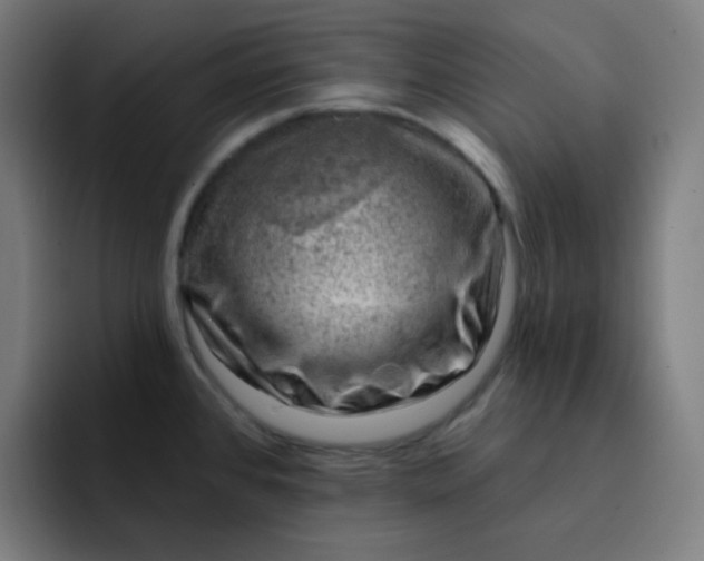 X0000093211384200710101318