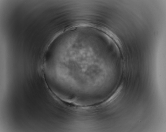 X0000093211385200710101318