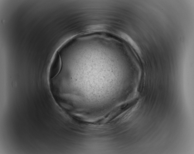 X0000093211386200710101318