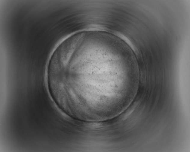 X0000093211387200710101318