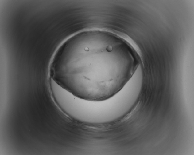 X0000093211388200710101318