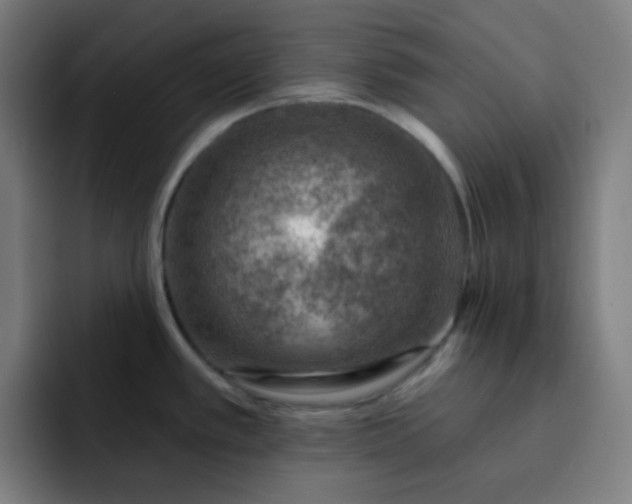 X0000093211389200710101318