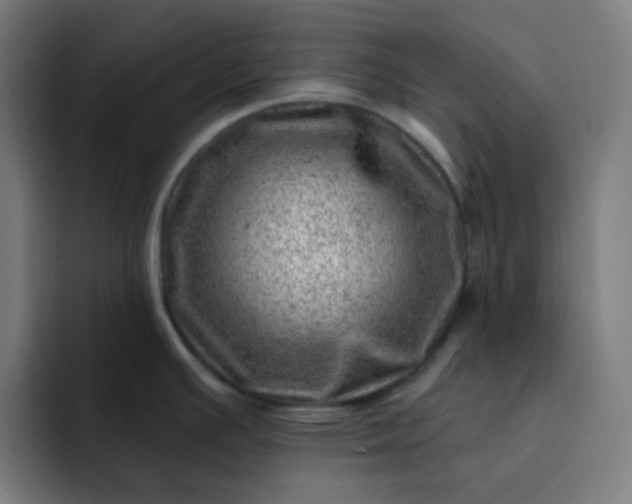 X0000093211391200710101318