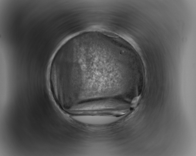 X0000093211392200710101318