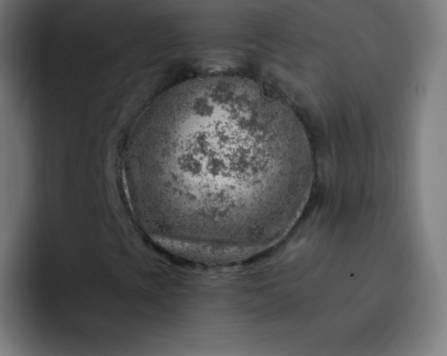 X0000093211393200710101318