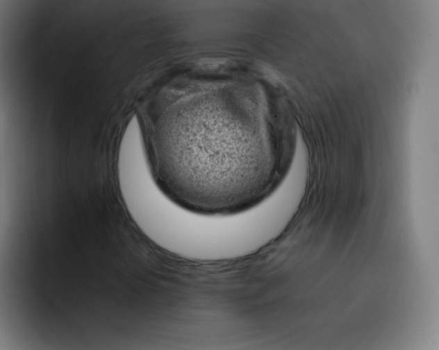 X0000093211394200710101318