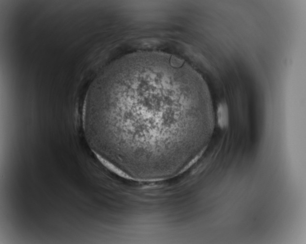 X0000093211395200710101318