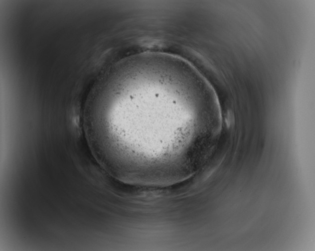 X0000093211396200710101318