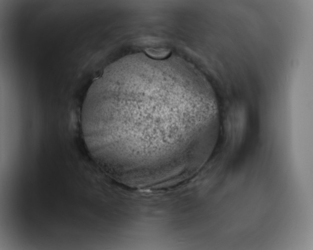 X0000093211397200710101318