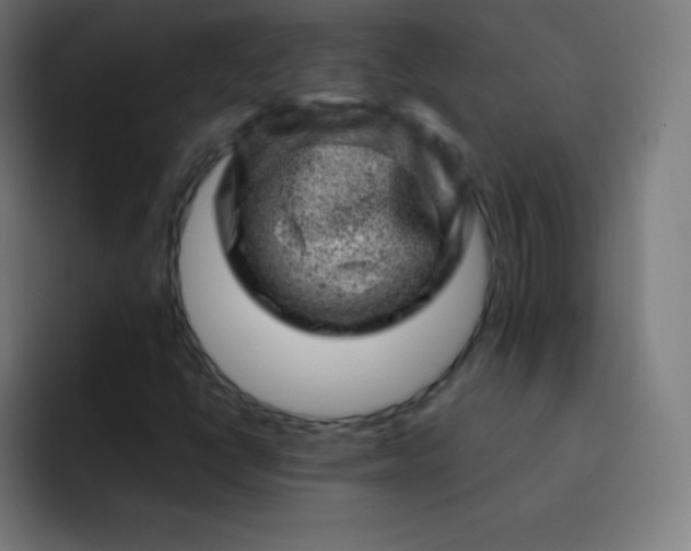 X0000093211398200710101318