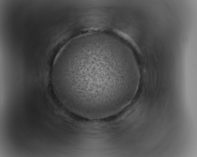 X0000093211399200710101318