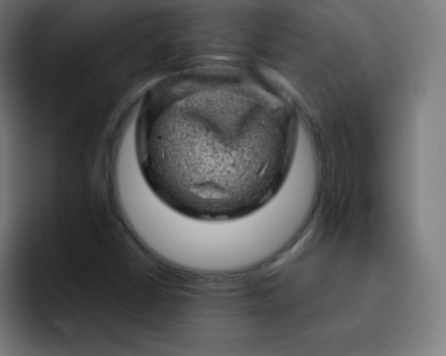 X0000093211402200710101318