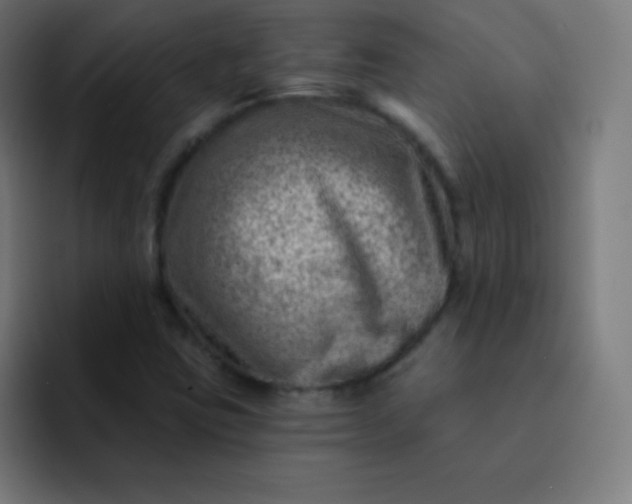 X0000093211403200710101318