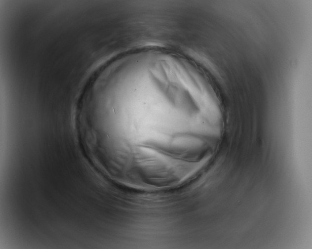 X0000093211404200710101318