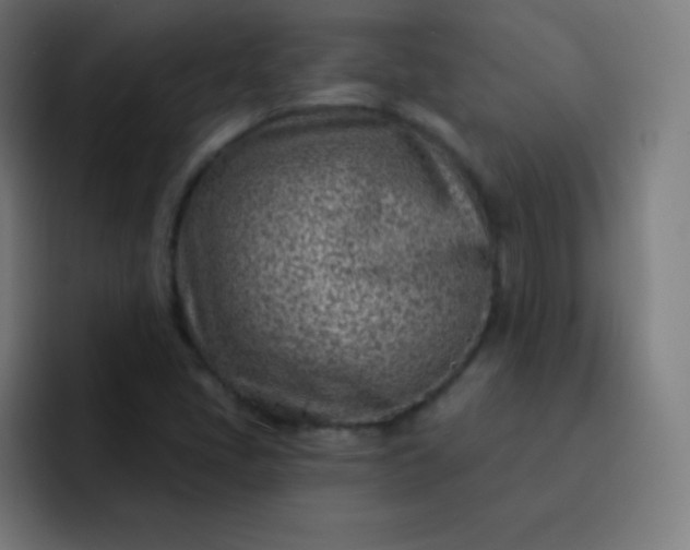 X0000093211405200710101318