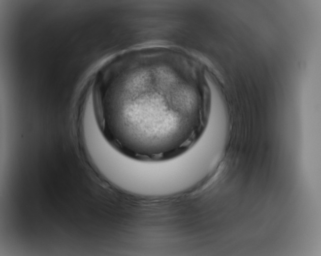 X0000093211406200710101318