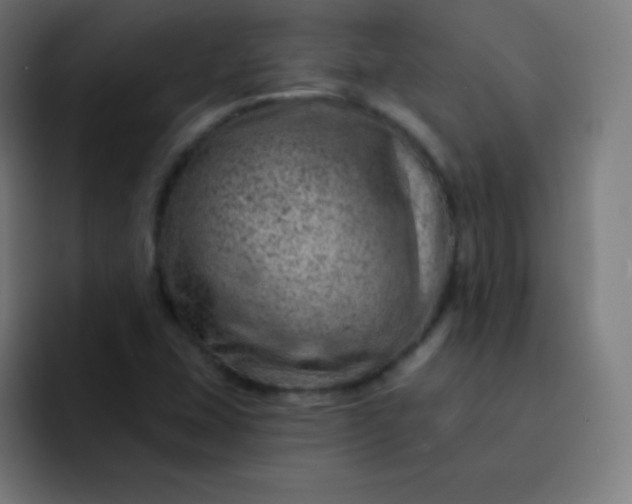 X0000093211407200710101318