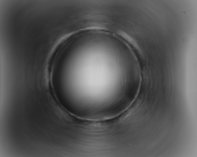 X0000093211408200710101318