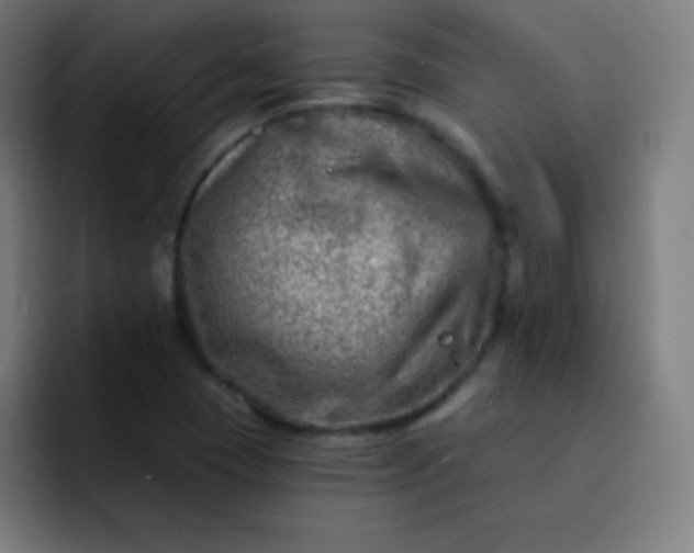 X0000093211409200710101318