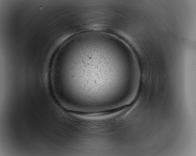 X0000093211410200710101318