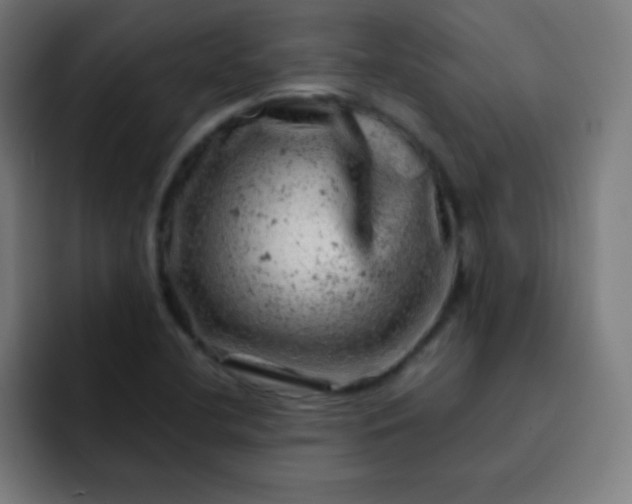 X0000093211412200710101318