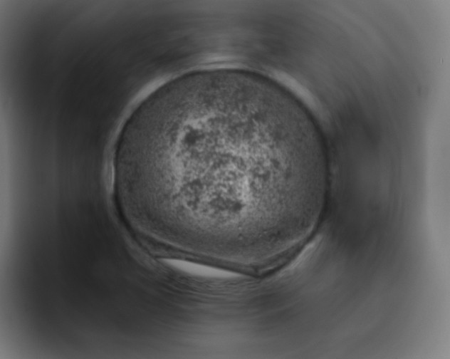 X0000093211413200710101318