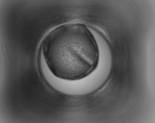 X0000093211414200710101318