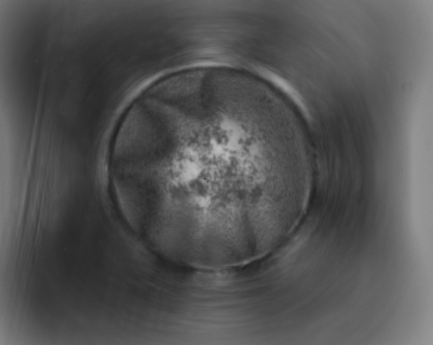 X0000093211415200710101318