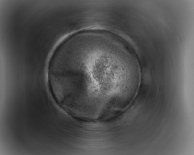 X0000093211416200710101318