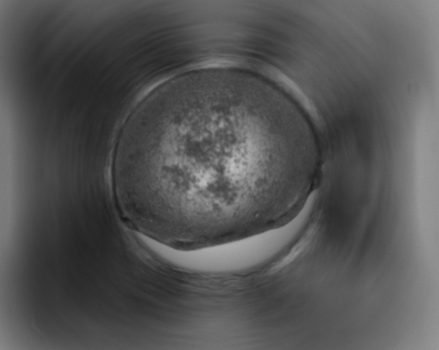 X0000093211417200710101318