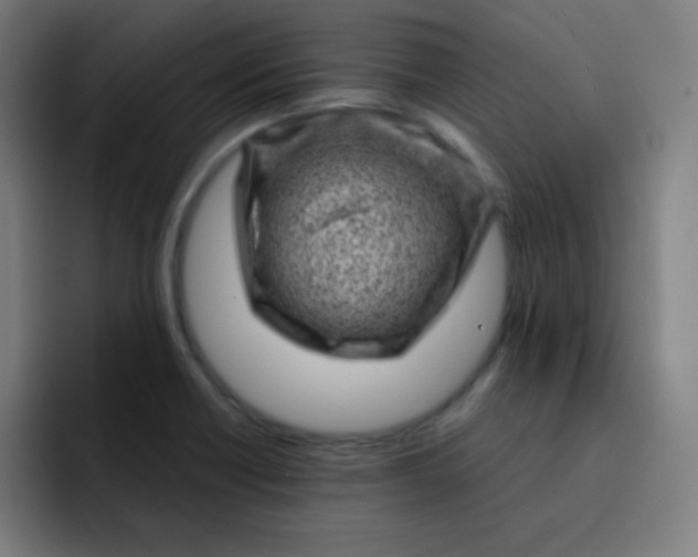 X0000093211418200710101318