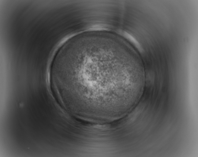 X0000093211419200710101318