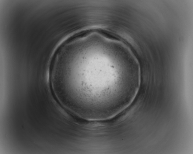 X0000093211420200710101318