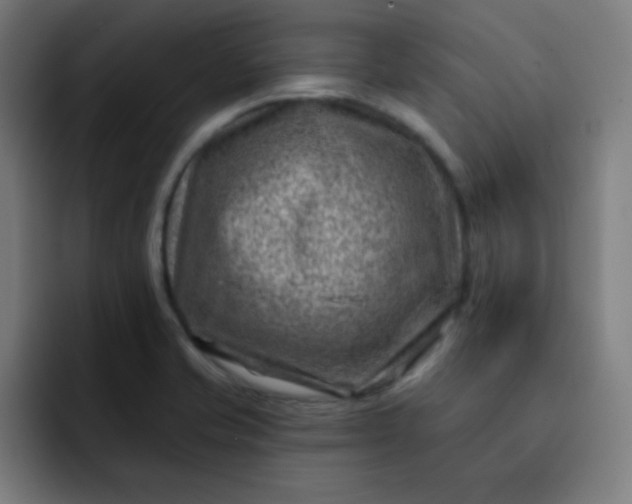 X0000093211421200710101318