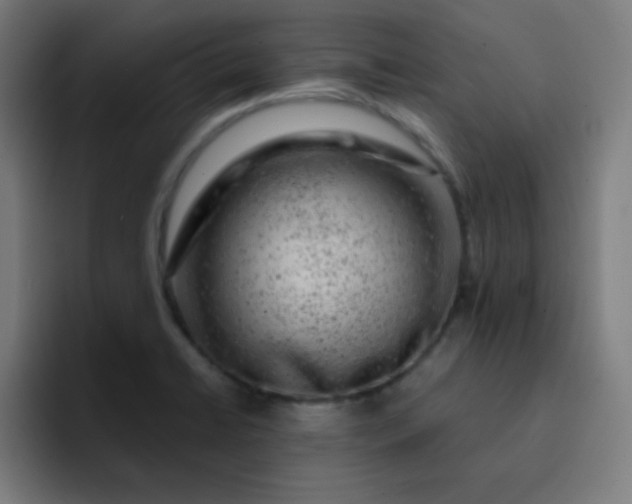 X0000093211422200710101318