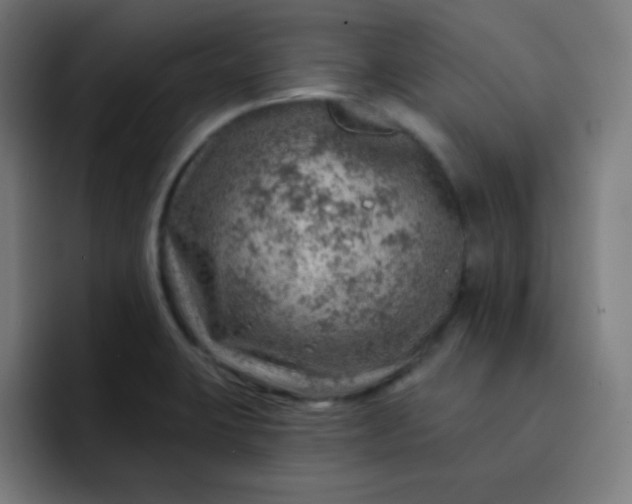 X0000093211423200710101318