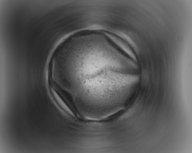 X0000093211424200710101318