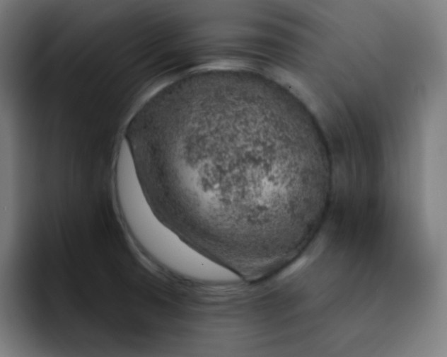 X0000093211425200710101318