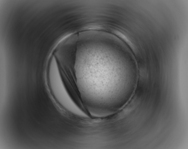 X0000093211426200710101318